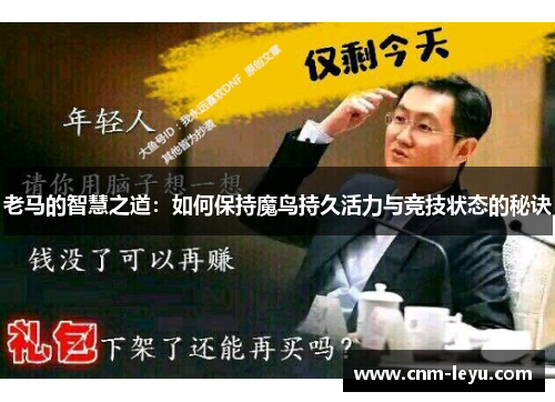 老马的智慧之道:如何保持魔鸟持久活力与竞技状态的秘诀 老马的智慧之道:如何保持魔鸟持久活力与竞技状态的秘诀