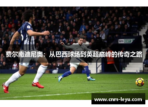 费尔南迪尼奥：从巴西球场到英超巅峰的传奇之路