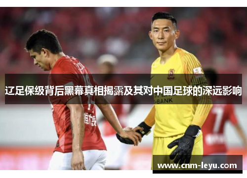 辽足保级背后黑幕真相揭露及其对中国足球的深远影响