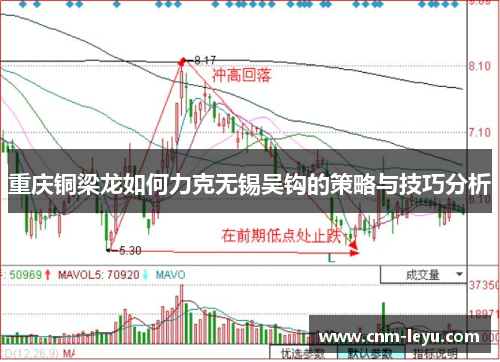 重庆铜梁龙如何力克无锡吴钩的策略与技巧分析