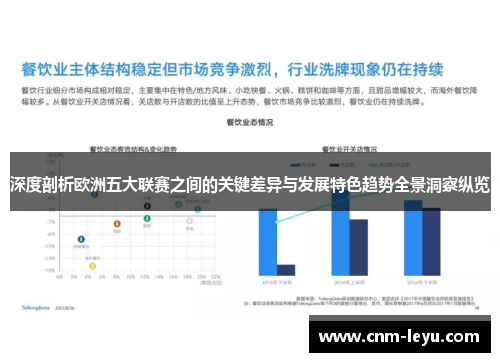 深度剖析欧洲五大联赛之间的关键差异与发展特色趋势全景洞察纵览
