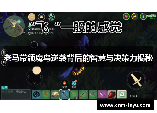 老马带领魔鸟逆袭背后的智慧与决策力揭秘