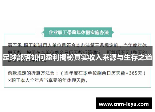 足球部落如何盈利揭秘真实收入来源与生存之道 足球部落如何盈利揭秘真实收入来源与生存之道