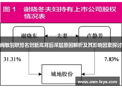 阀敏羽联排名创新高背后深层原因解析及其影响因素探讨