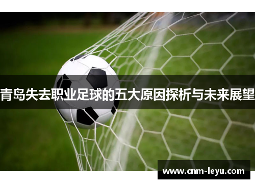 青岛失去职业足球的五大原因探析与未来展望 青岛失去职业足球的五大原因探析与未来展望
