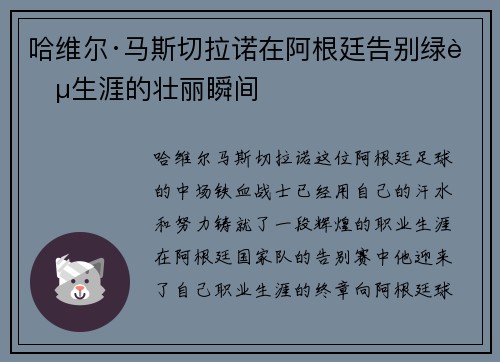 哈维尔·马斯切拉诺在阿根廷告别绿茵生涯的壮丽瞬间