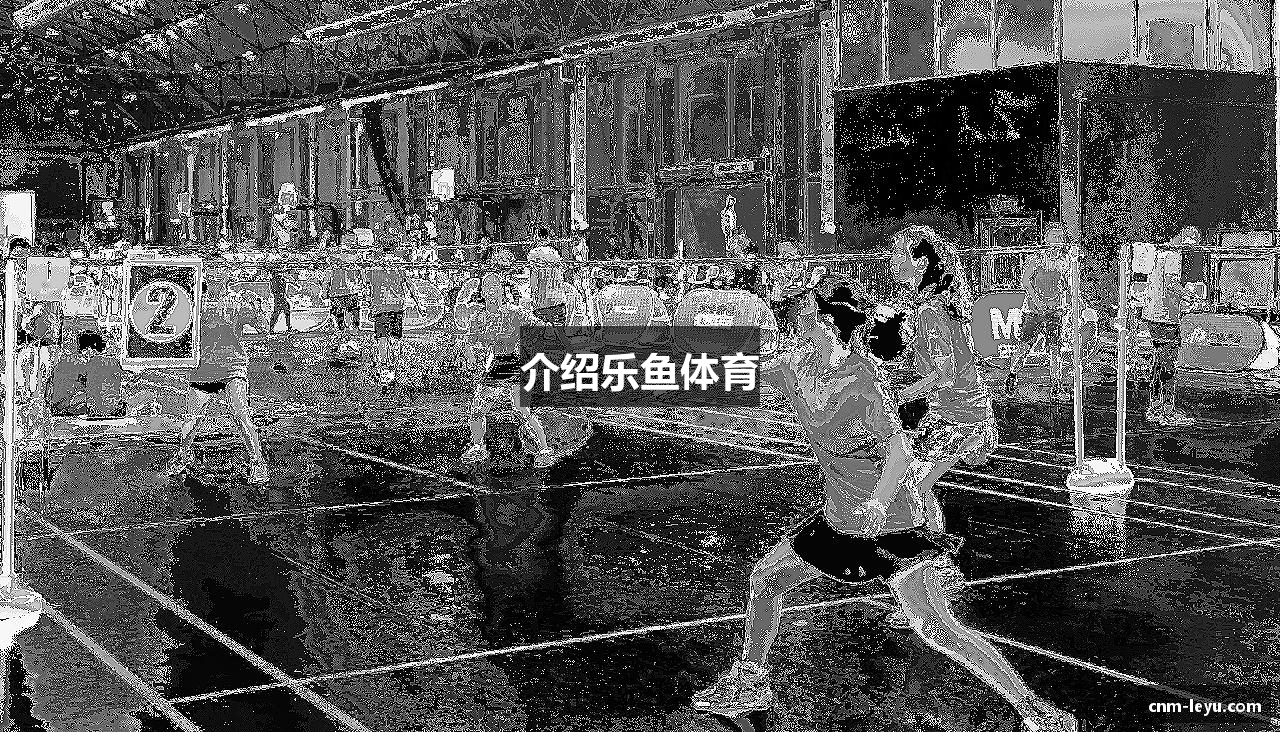 介绍乐鱼体育